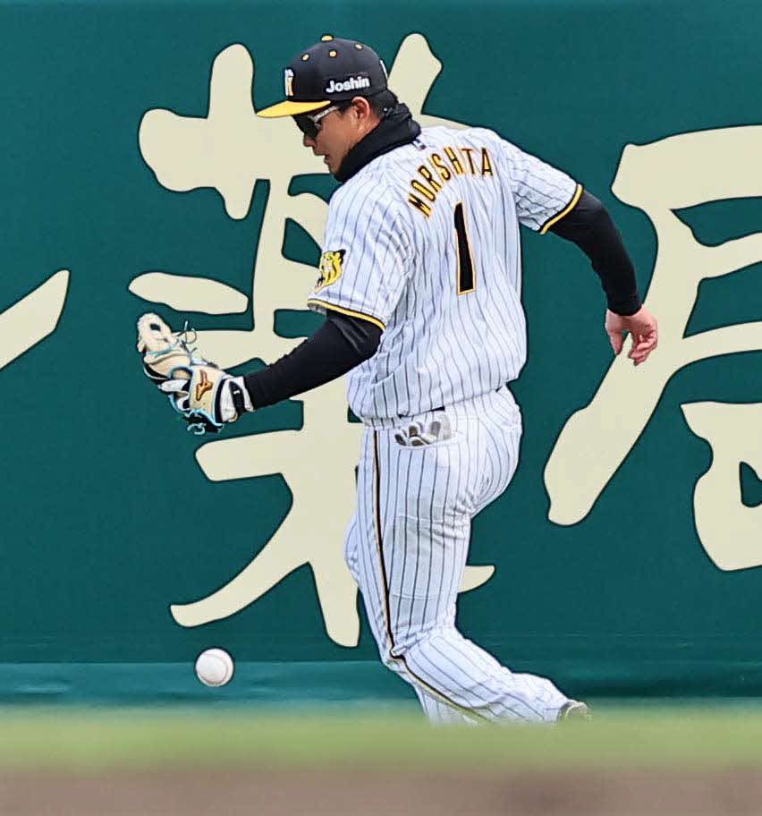 阪神対ヤクルト　8回表ヤクルト2死一、三塁、浜田の飛球を取り損ねる森下（撮影・上田博志）