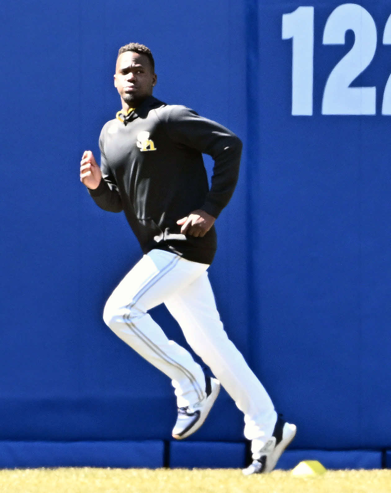 ロッテ対ソフトバンク　試合前練習で調整するソフトバンク・モイネロ（撮影・滝沢徹郎）