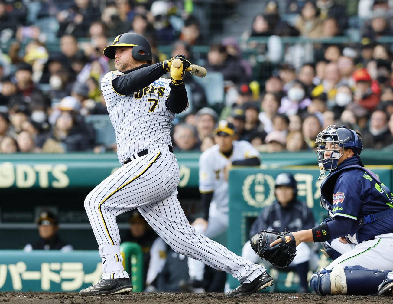 阪神対ヤクルト　4回裏阪神1死一塁、ノイジーは左前打を放つ（撮影・藤尾明華）