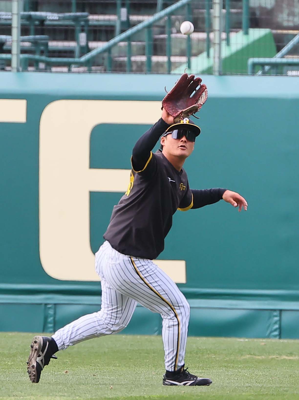 阪神対ヤクルト　右翼でノックを受ける前川（撮影・上田博志）
