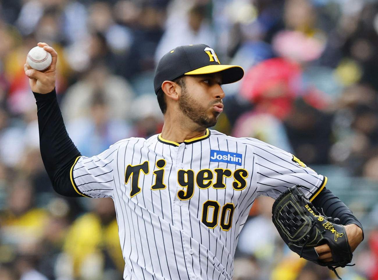 阪神対ヤクルト　6回、3番手で登板した阪神ゲラ（撮影・藤尾明華）