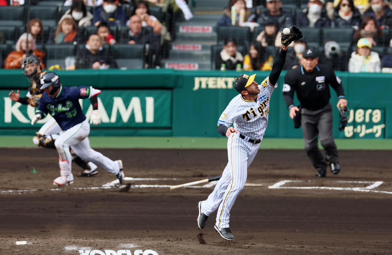 阪神対ヤクルト　6回表ヤクルト1死、ゲラは内山の打球にグラブを伸ばすが捕球出来ず遊ゴロとなる（撮影・加藤哉）