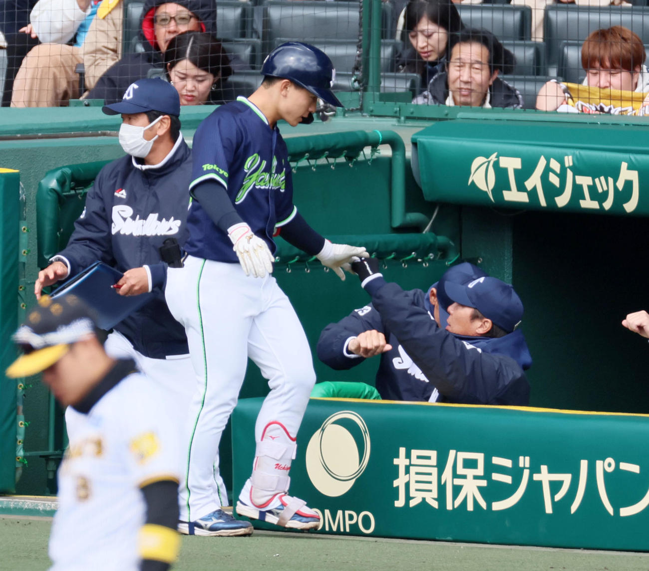 阪神対ヤクルト　2回表ヤクルト1死、内山（左）は左越えソロ本塁打を放ちベンチの高津監督とタッチ（撮影・加藤哉）