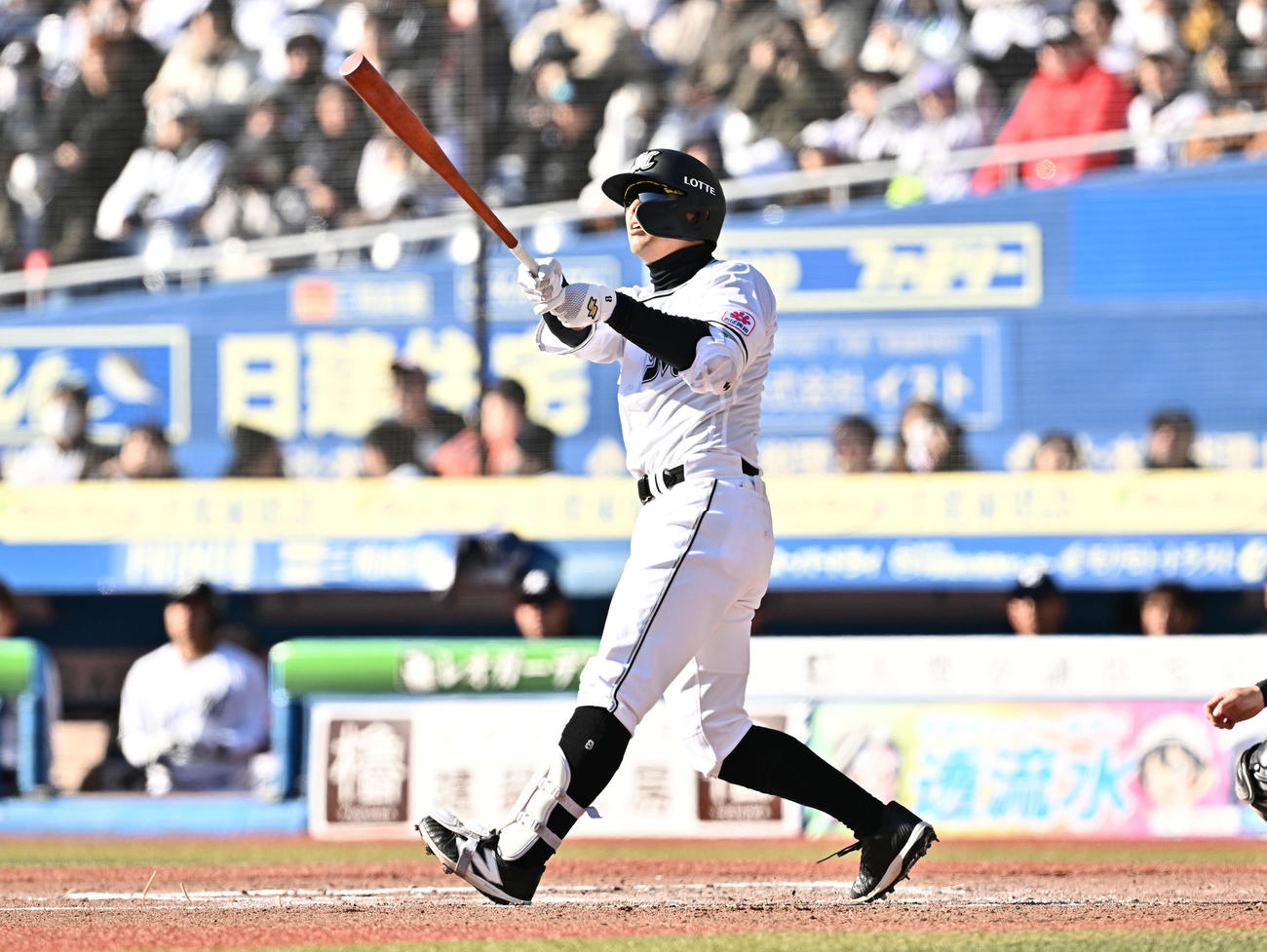 ロッテ対ソフトバンク　6回裏ロッテ1死一、三塁、中村奨は左越え3点本塁打を放つ（撮影・滝沢徹郎）