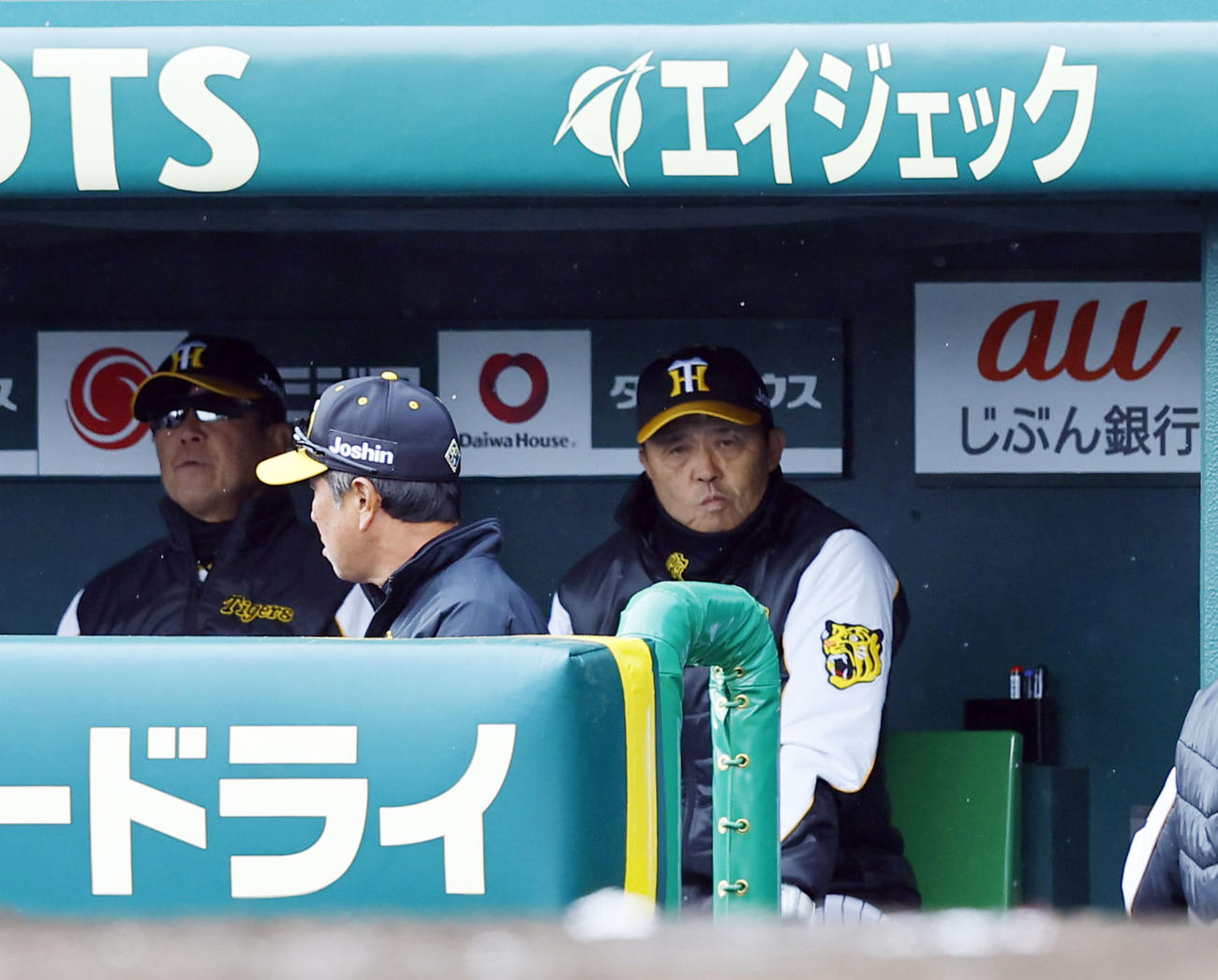 阪神対ヤクルト　7回表、ベンチで渋い表情の阪神岡田監督（撮影・藤尾明華）
