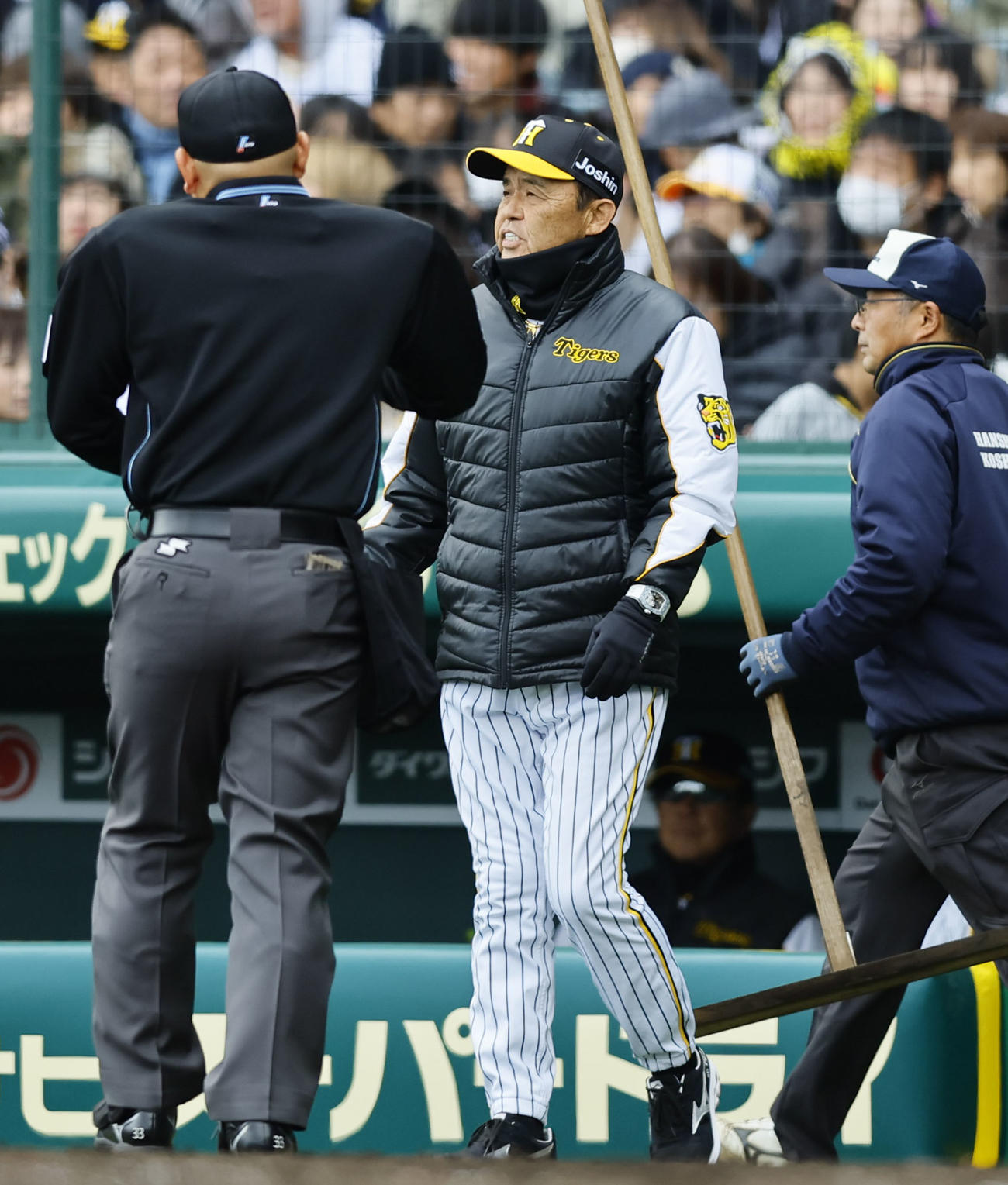 阪神対ヤクルト　5回、交代告げる阪神岡田監督（撮影・藤尾明華）