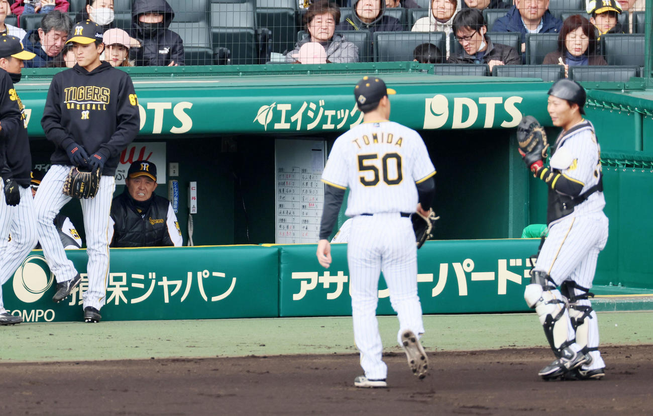 阪神対ヤクルト　2回表を終わってベンチからグラウンドを見る岡田監督。中央背中は先発の富田、右は藤田（撮影・加藤哉）