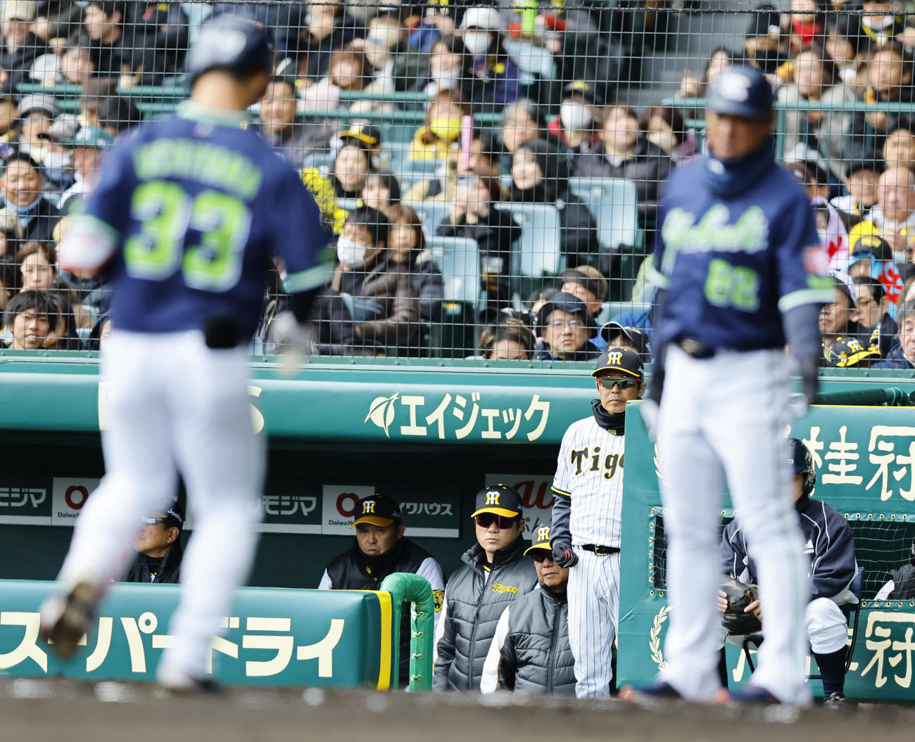 阪神対ヤクルト　2回表ヤクルト1死、内山（左）に先制本塁打を浴び生還をベンチから見つめる阪神岡田監督（左から2人目）（撮影・藤尾明華）