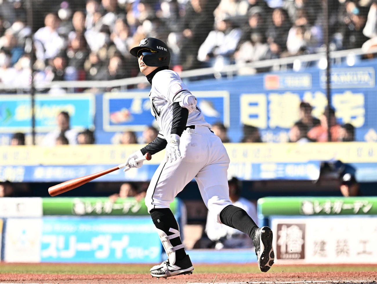 ロッテ対ソフトバンク　6回裏ロッテ1死一、三塁、中村奨は左越え3点本塁打を放つ（撮影・滝沢徹郎）
