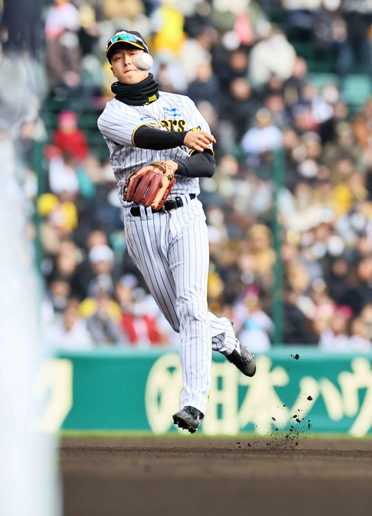 阪神対ヤクルト　6回表ヤクルト1死、ゲラのグラブをはじいたボールを送球し内山を遊ゴロに仕留める小幡（撮影・上田博志）