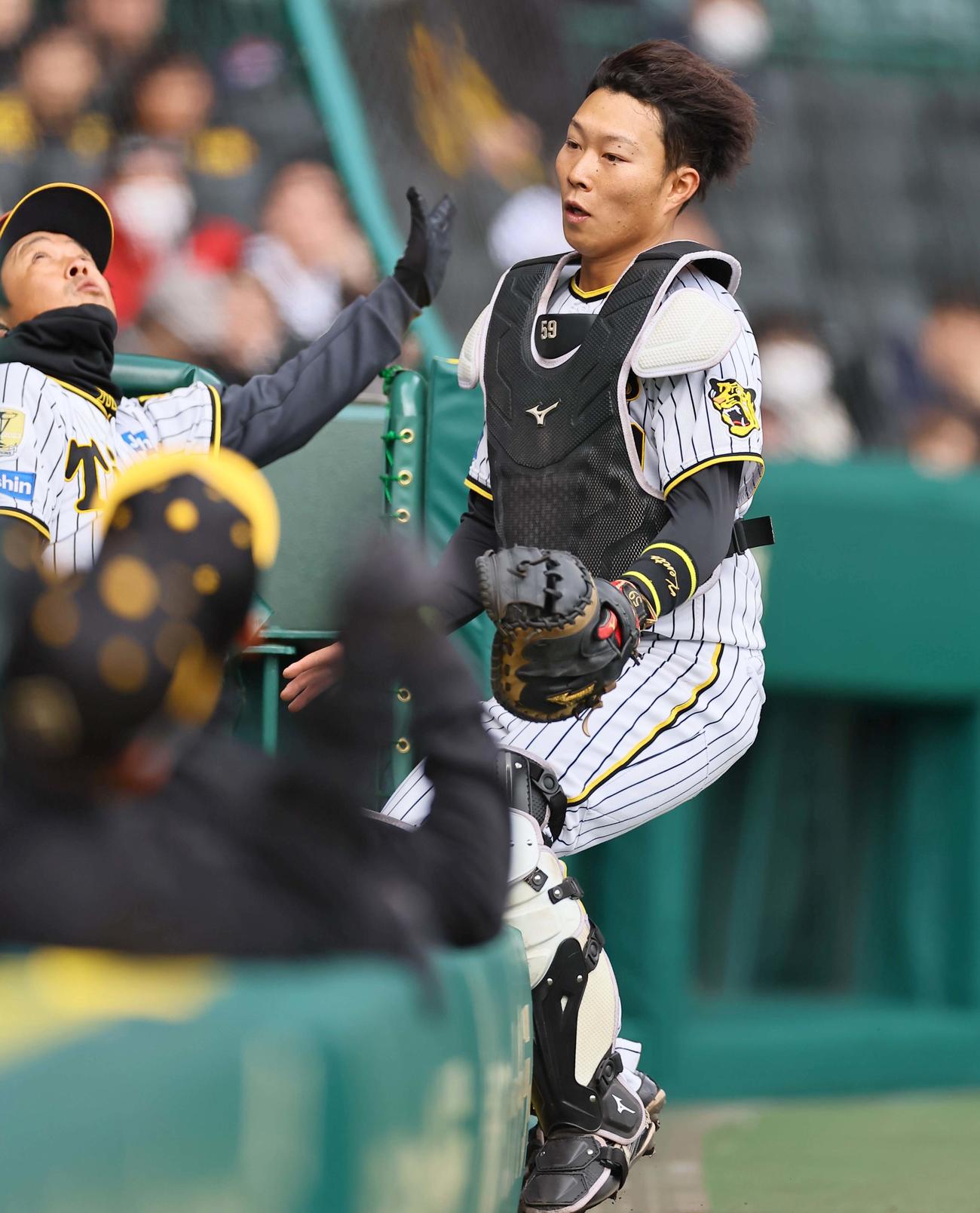 阪神対ヤクルト　3回表ヤクルト1死一、二塁、北村拓の邪飛を追いベンチに突っ込む藤田（撮影・上田博志）