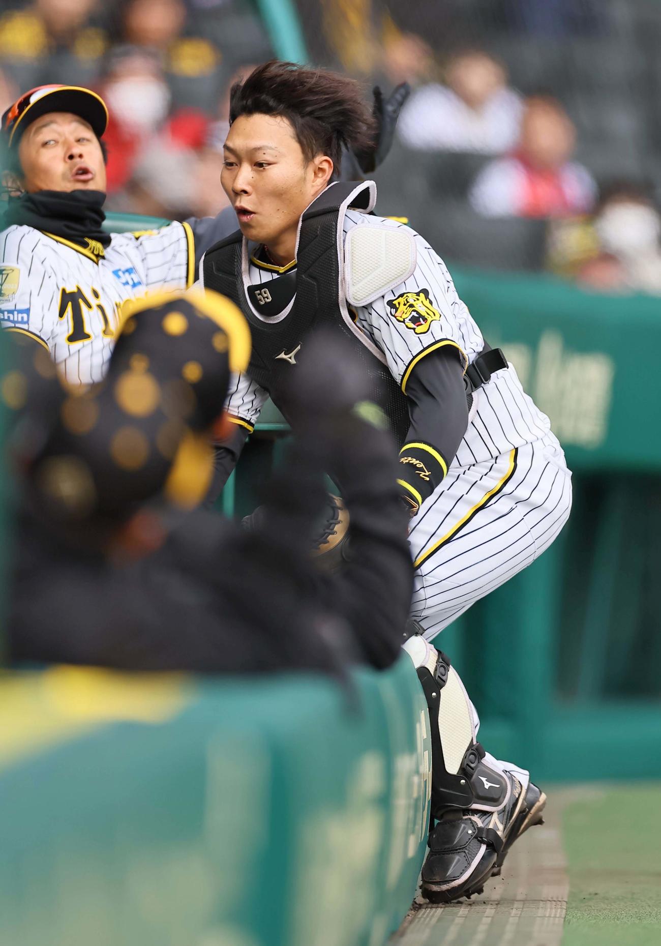阪神対ヤクルト　3回表ヤクルト1死一、二塁、北村拓の邪飛を追いベンチに突っ込む藤田（撮影・上田博志）