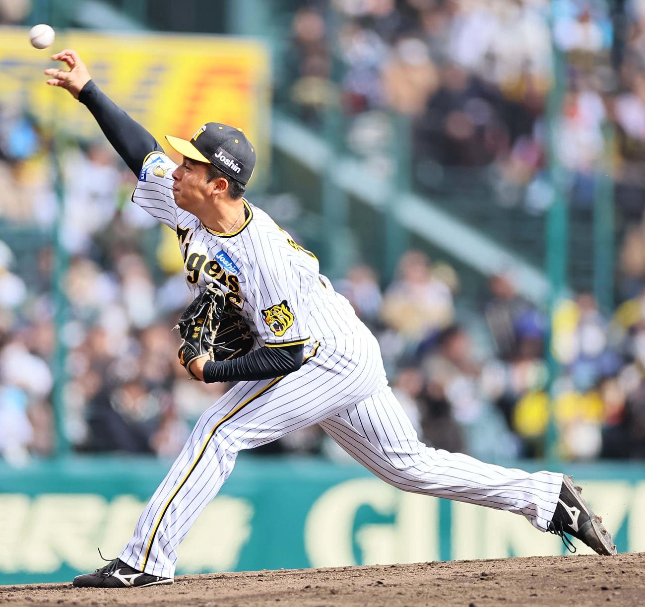 阪神対ヤクルト　阪神2番手の椎葉（撮影・上田博志）