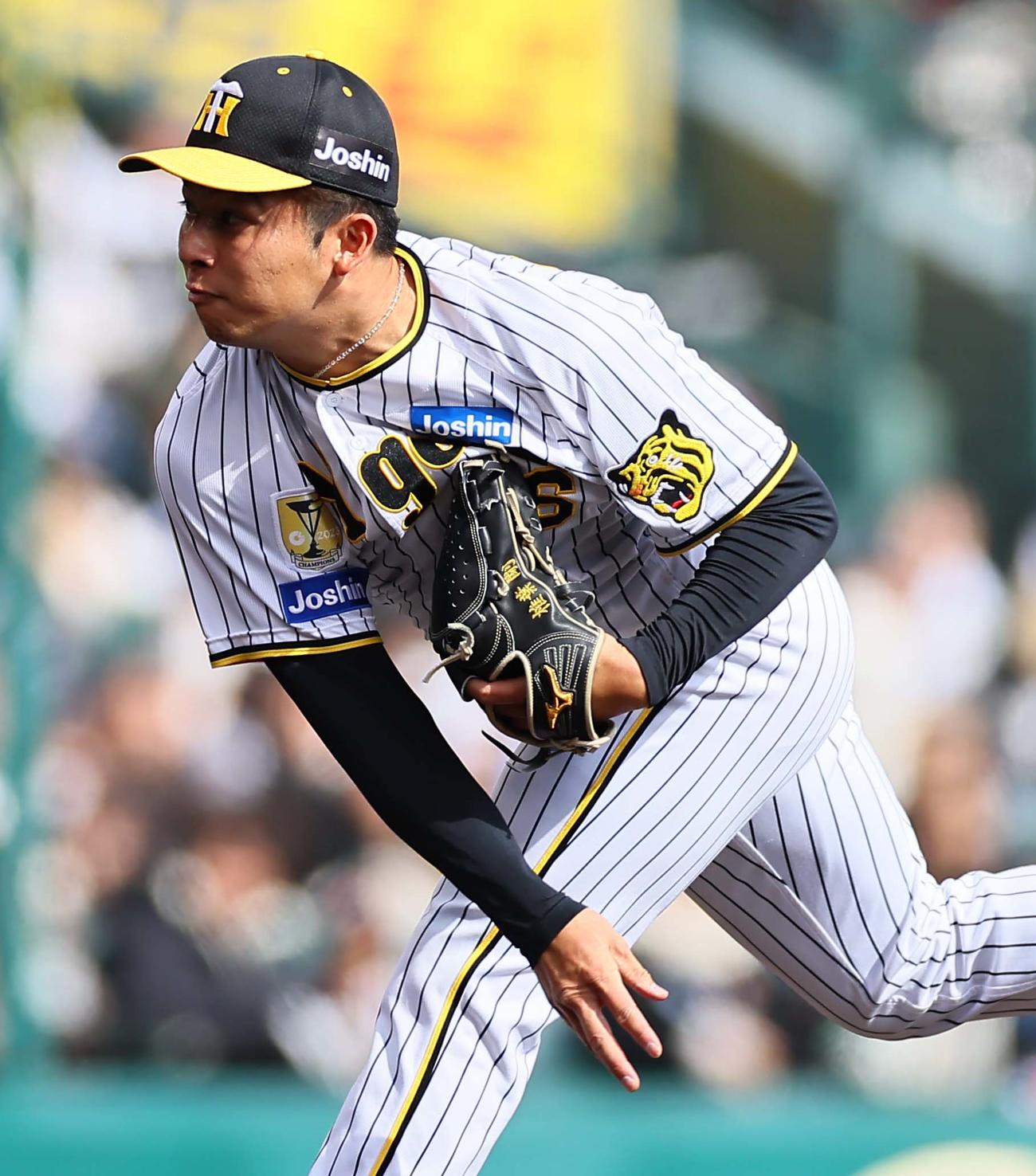 阪神対ヤクルト　連投もきっちり抑えた阪神2番手の椎葉（撮影・上田博志）