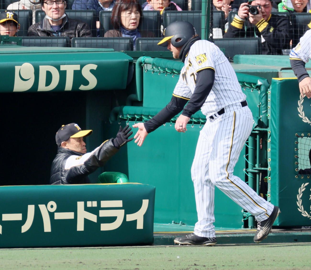 阪神対ヤクルト　4回裏阪神1死二、三塁、小幡の中犠飛で生還した三塁走者ノイジー（右）はベンチの岡田監督とタッチする（撮影・加藤哉）