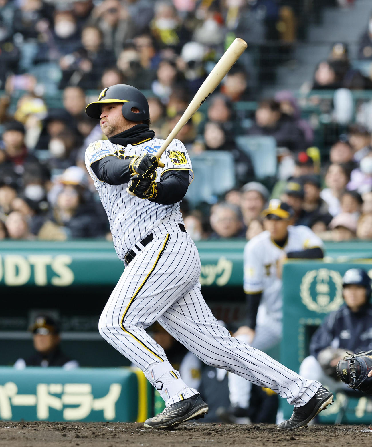阪神対ヤクルト　4回裏阪神1死一塁、ノイジーは左前打を放つ（撮影・藤尾明華）