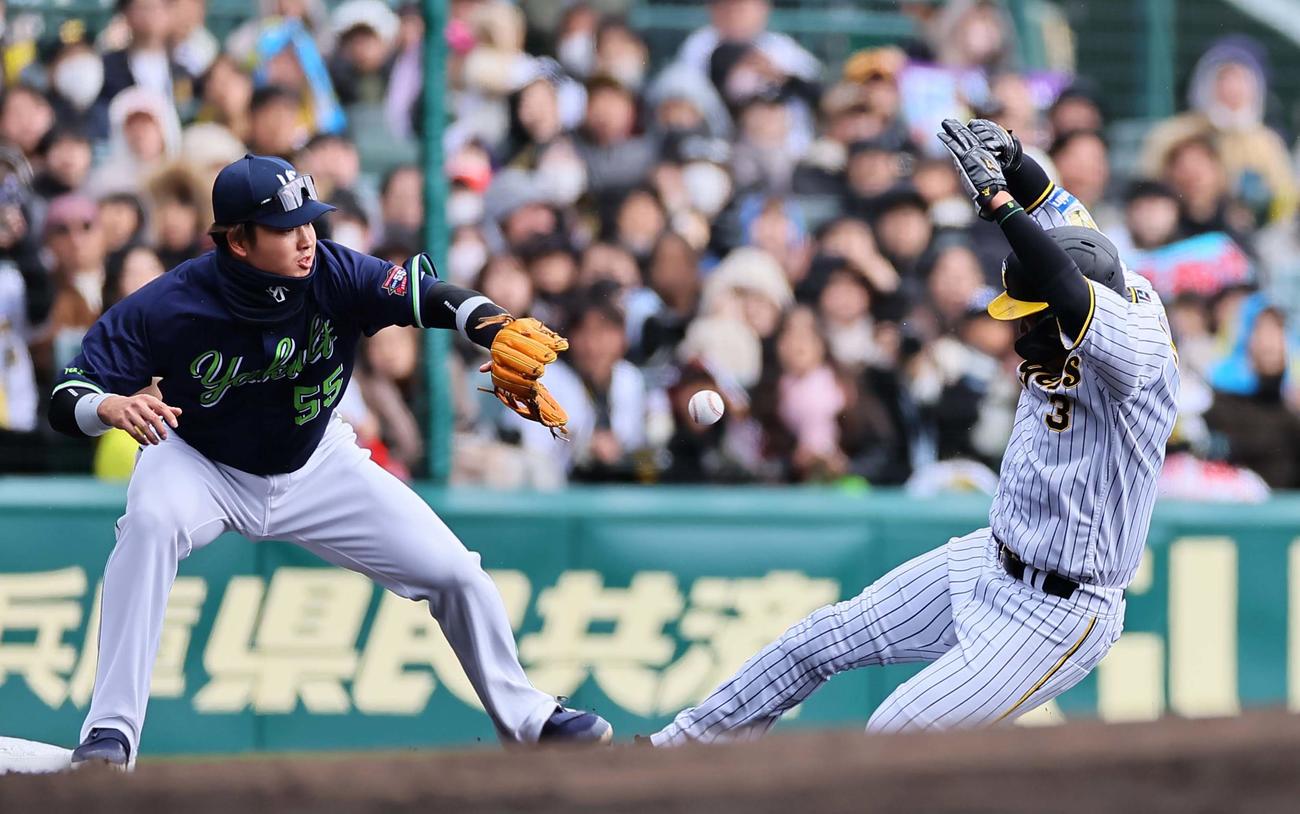 阪神対ヤクルト　2回裏阪神無死二塁、大山（右）は佐藤輝の中飛で三塁へ進塁する（撮影・上田博志）