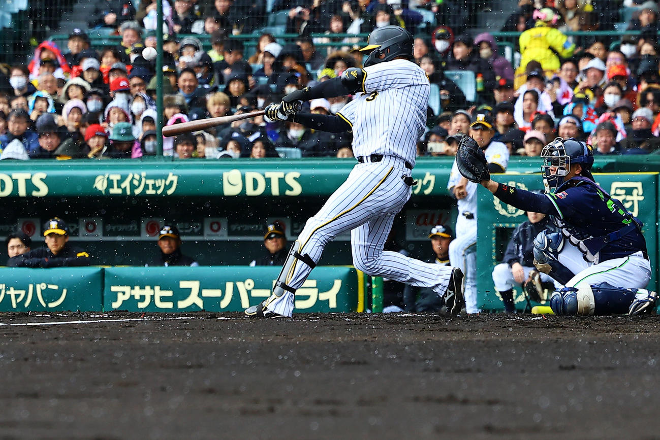 阪神対ヤクルト　2回裏阪神無死、大山はあられが降る中、左越えに二塁打を放つ（撮影・藤尾明華）