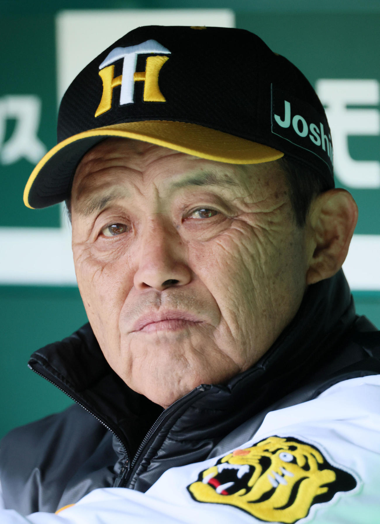 阪神対巨人　ベンチからグラウンドを見つめる岡田監督（撮影・加藤哉）