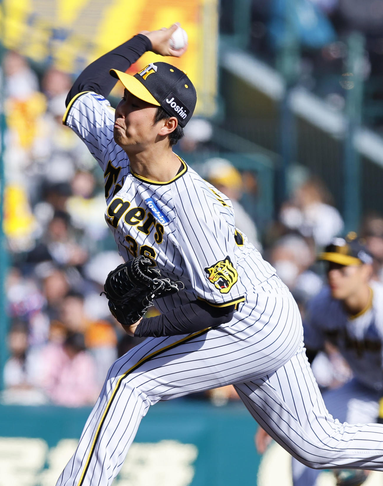 阪神対巨人　8回、6番手で登板した阪神浜地（撮影・藤尾明華）