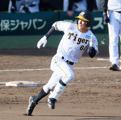 NPB 植田海　♯62 実使用　野球木製　バット 阪神】名脇役の植田海がバットで存在感 終盤適時二塁打放ち「1打席も