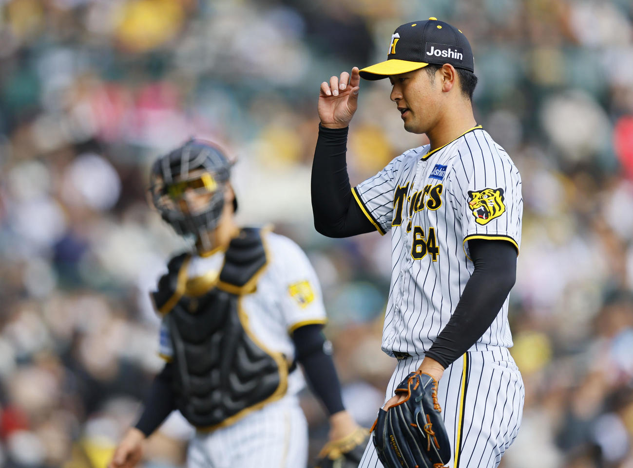 阪神対巨人　2回を終え、ベンチに戻る阪神岡留（撮影・藤尾明華）