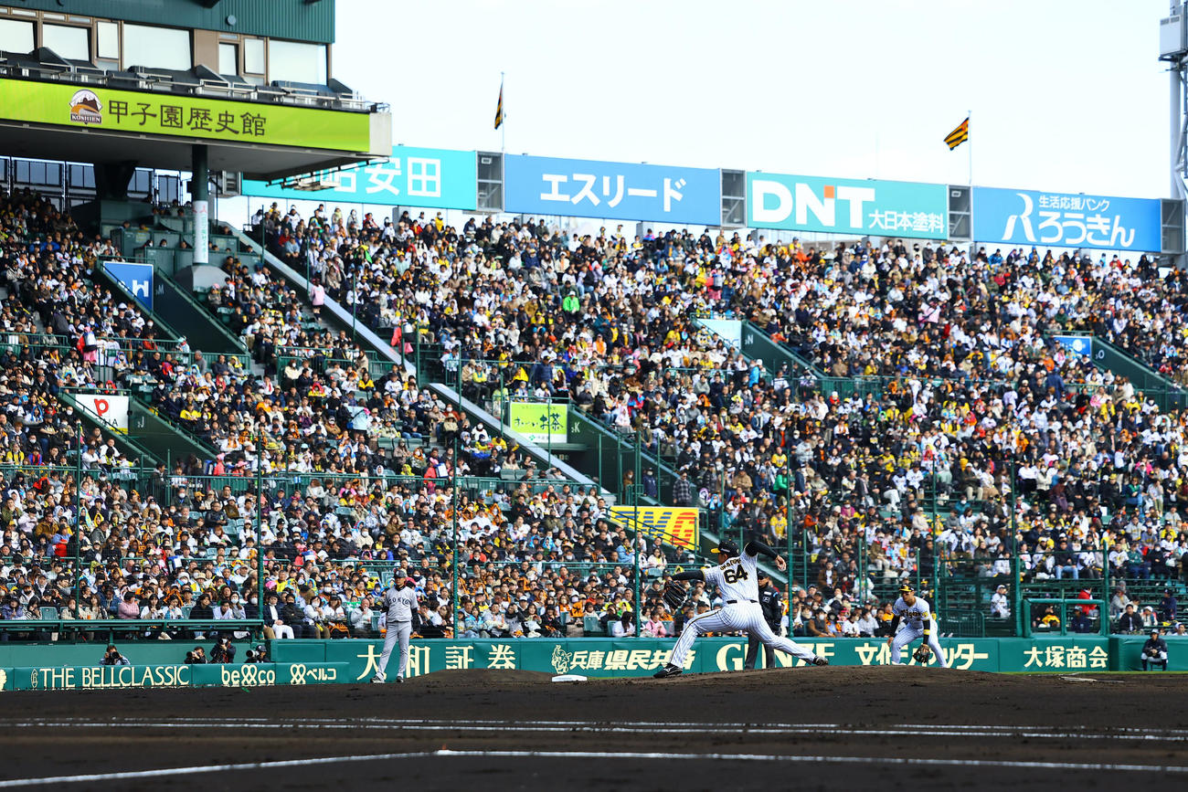 阪神対巨人　巨人戦に先発した阪神岡留（撮影・藤尾明華）