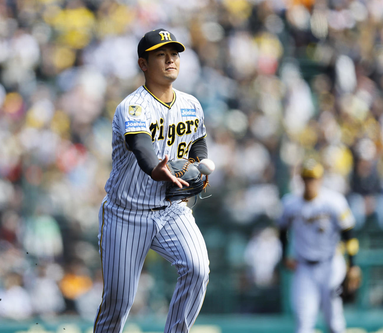 阪神対巨人　1回表巨人2死、丸佳浩を投ゴロに打ち取り一塁へトスする阪神岡留（撮影・藤尾明華）