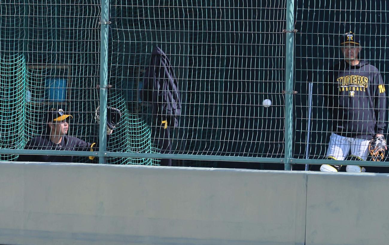 ブルペンに入り森木大智の投球を受ける梅野（撮影・上田博志）