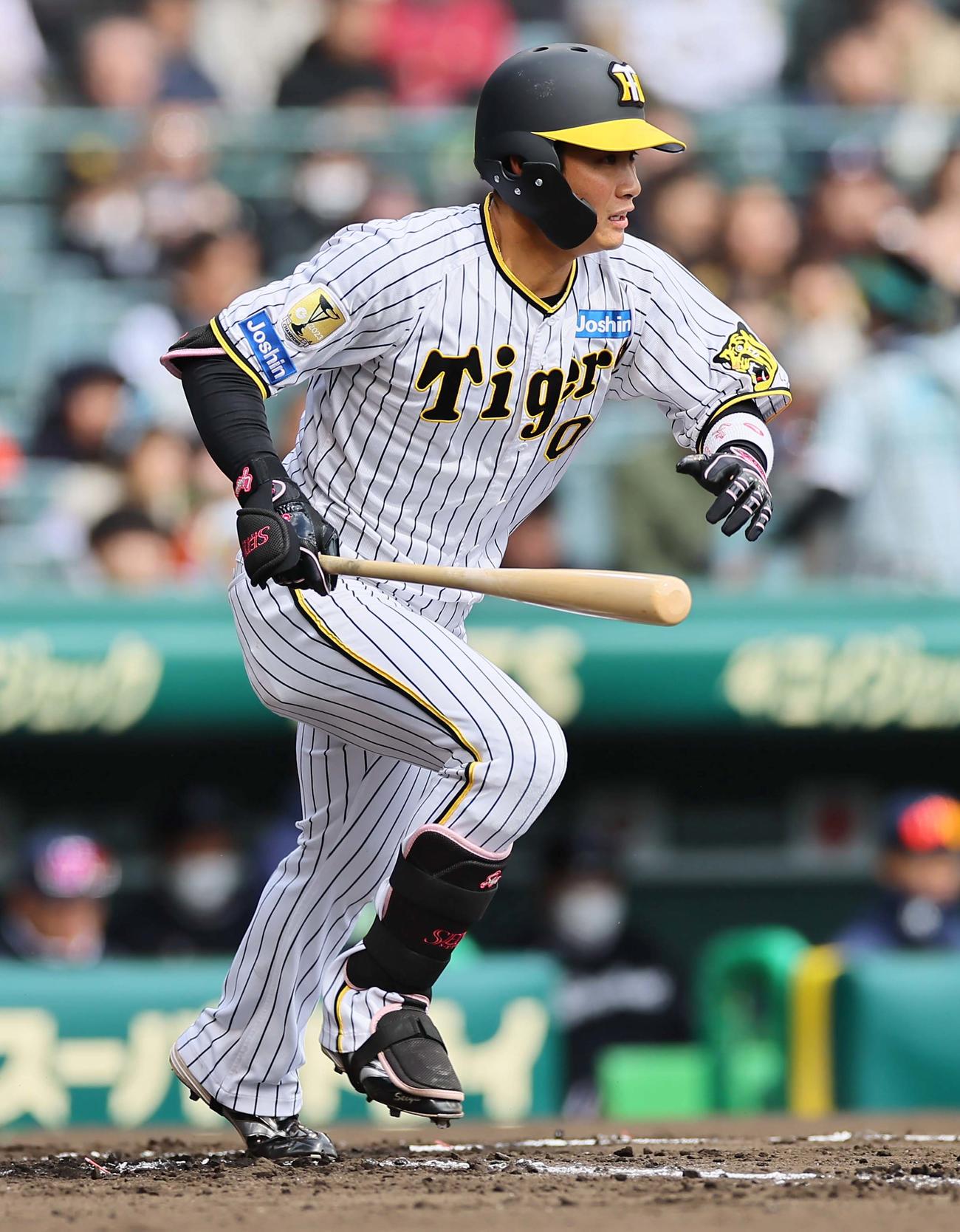 阪神木浪聖也（2024年3月8日撮影）