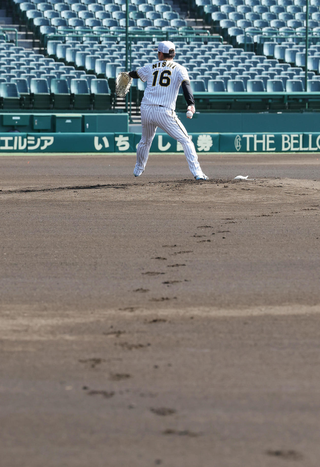 甲子園球場のマウンドで投球練習する阪神西勇（撮影・前田充）