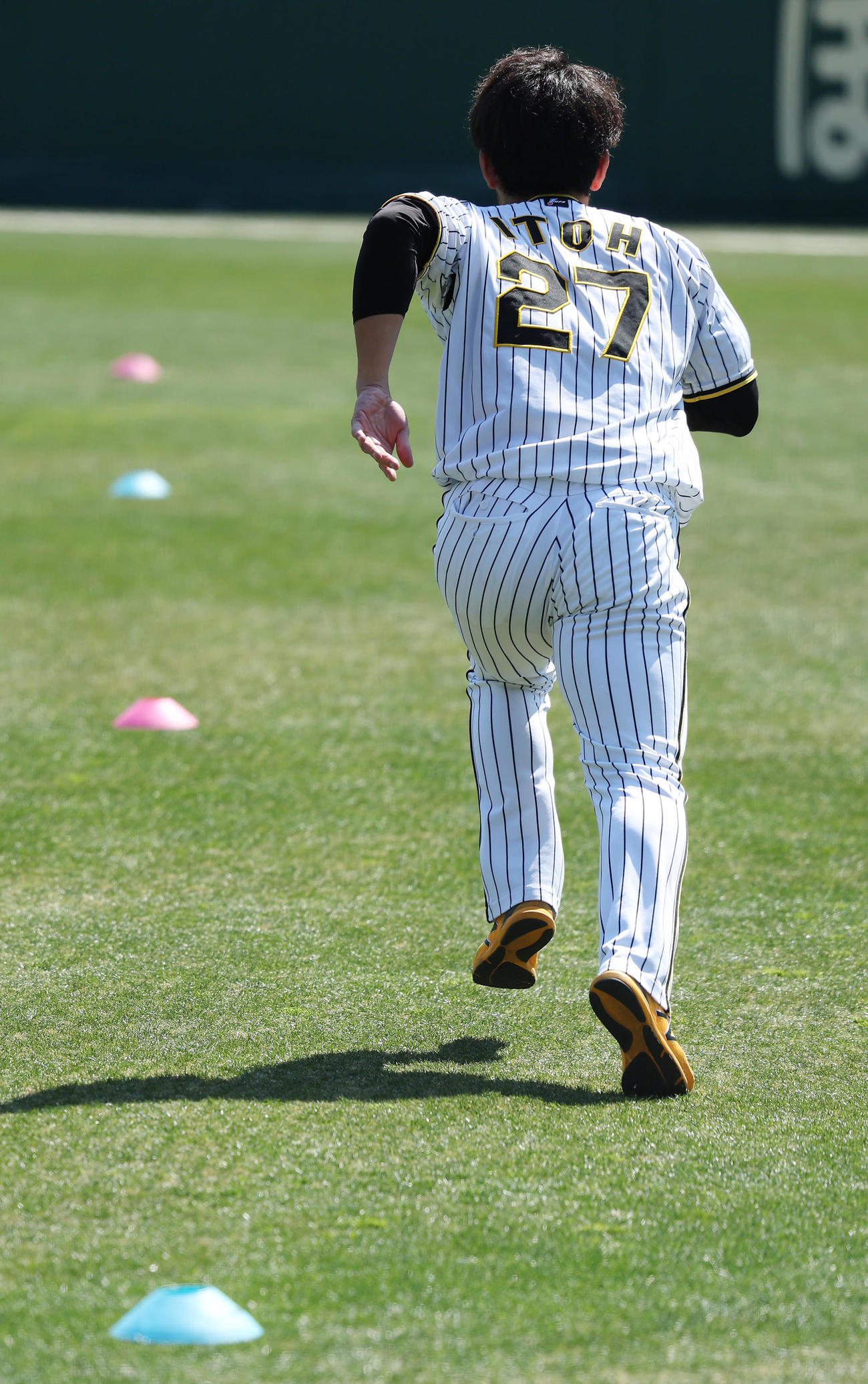 ダッシュを繰り返す阪神伊藤将（撮影・前田充）