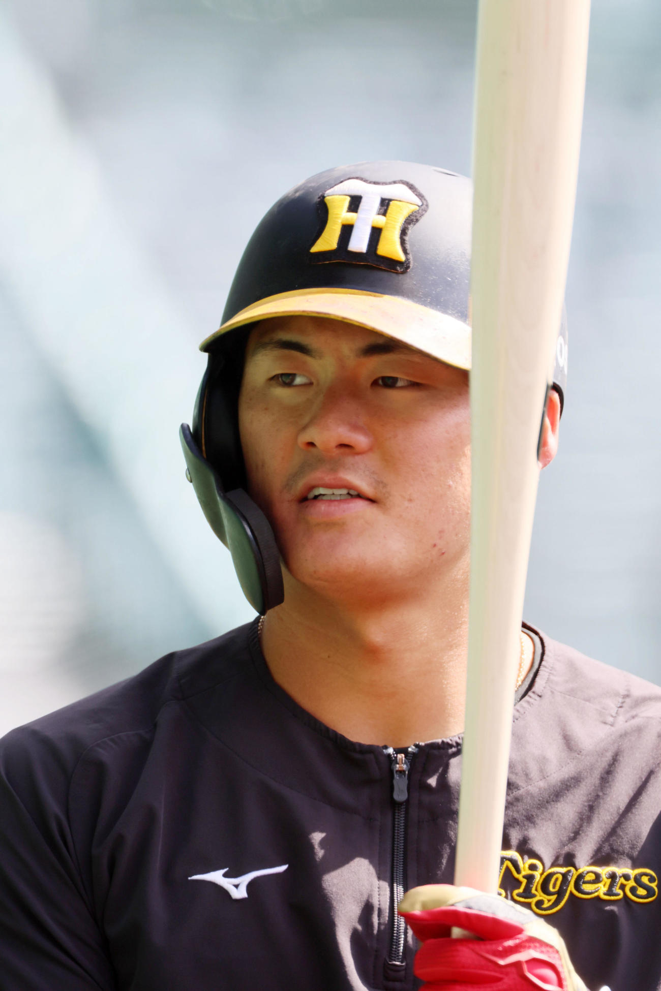 阪神前川右京（2024年3月10日撮影）