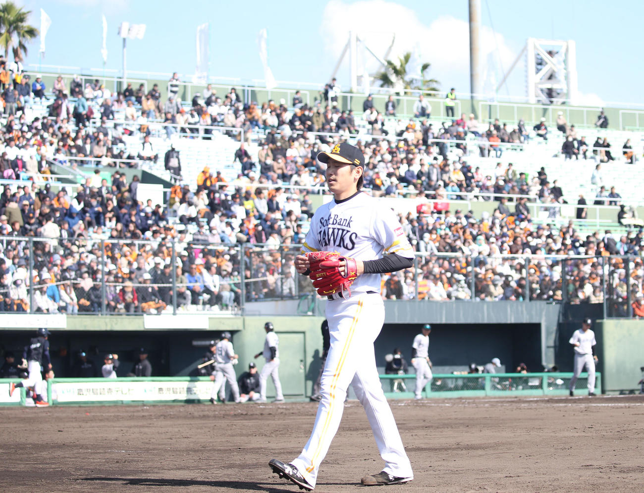 ソフトバンク対巨人　4回を投げ終えベンチへ引き揚げる石川（撮影・冨田成美）