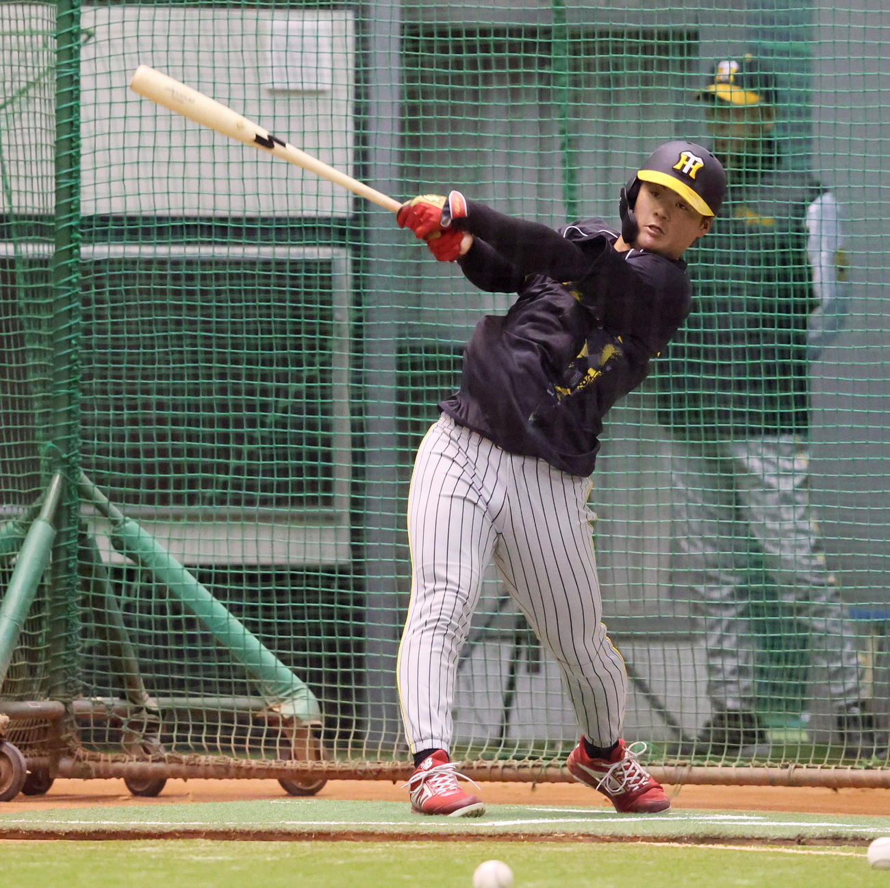 ロッテ対阪神　打撃練習する前川（撮影・加藤哉）