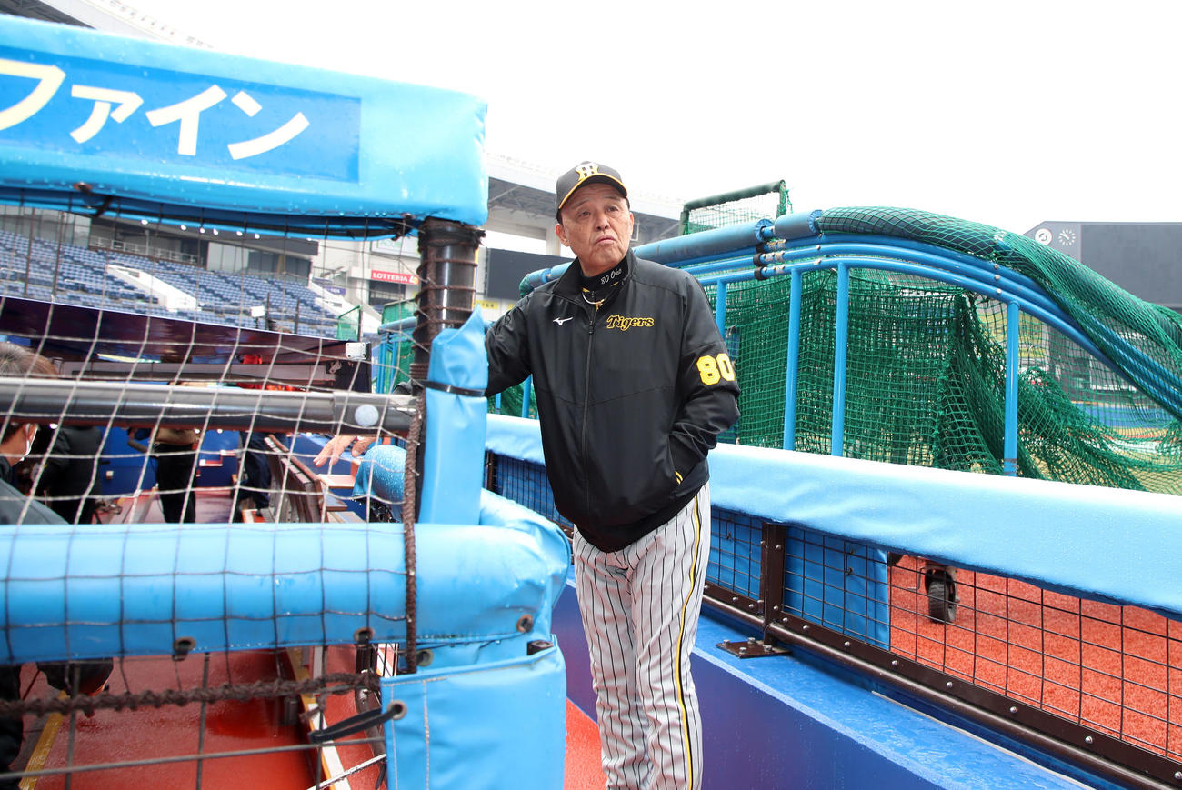 ベンチからグラウンドを見渡す岡田監督（撮影・加藤哉）
