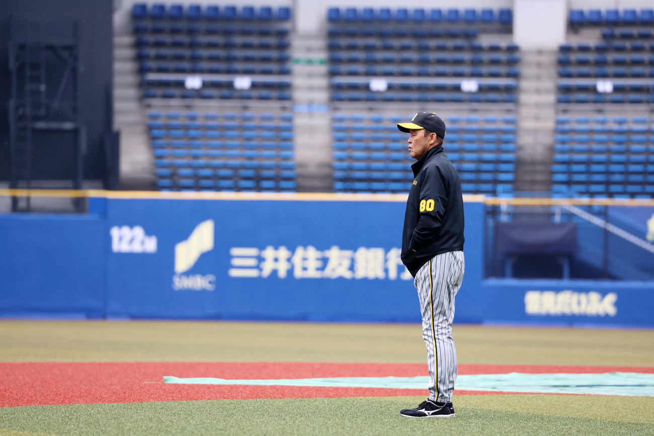 グラウンドの状況をみつめる岡田監督（撮影・加藤哉）