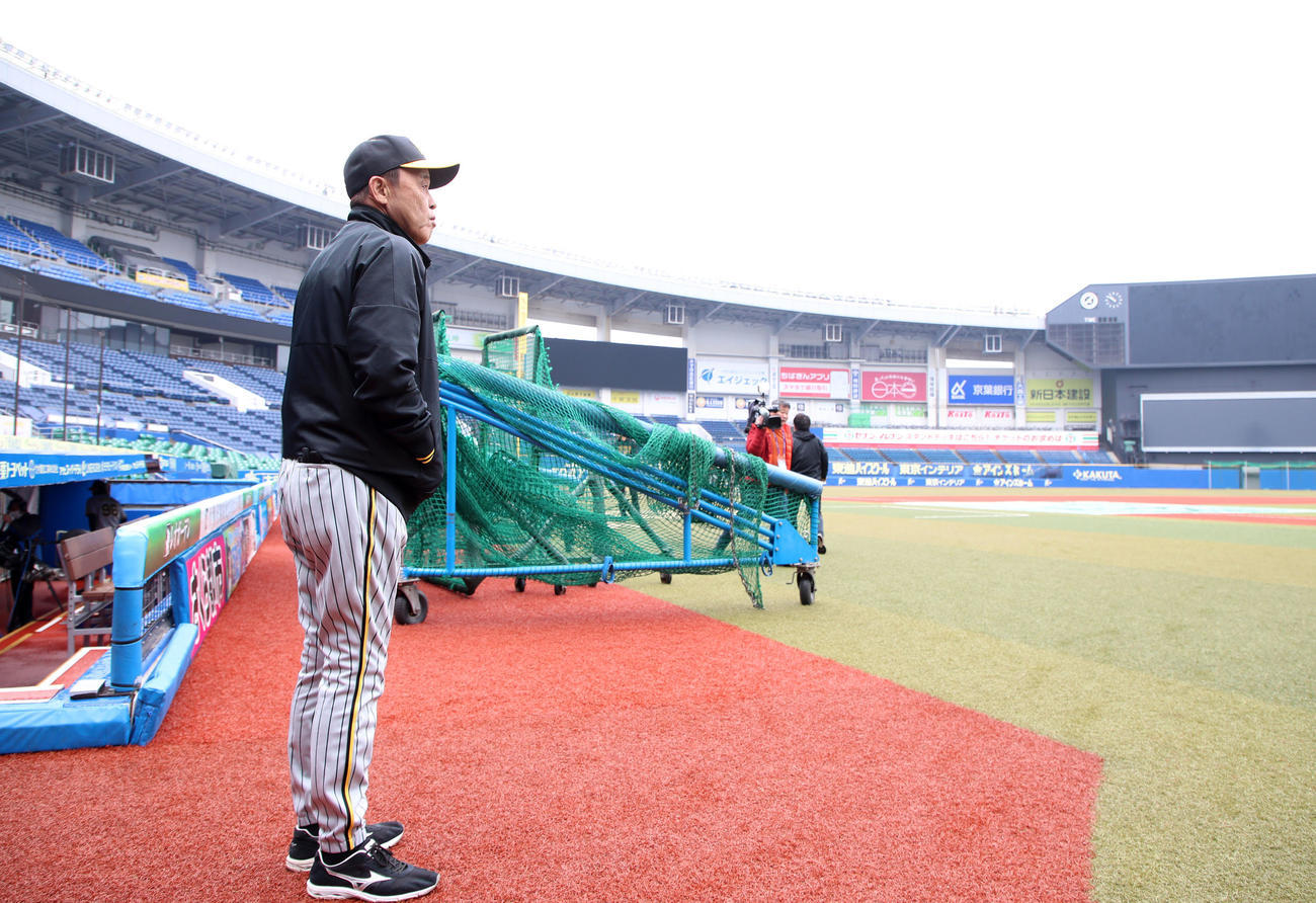グラウンドを見渡す岡田監督（撮影・加藤哉）