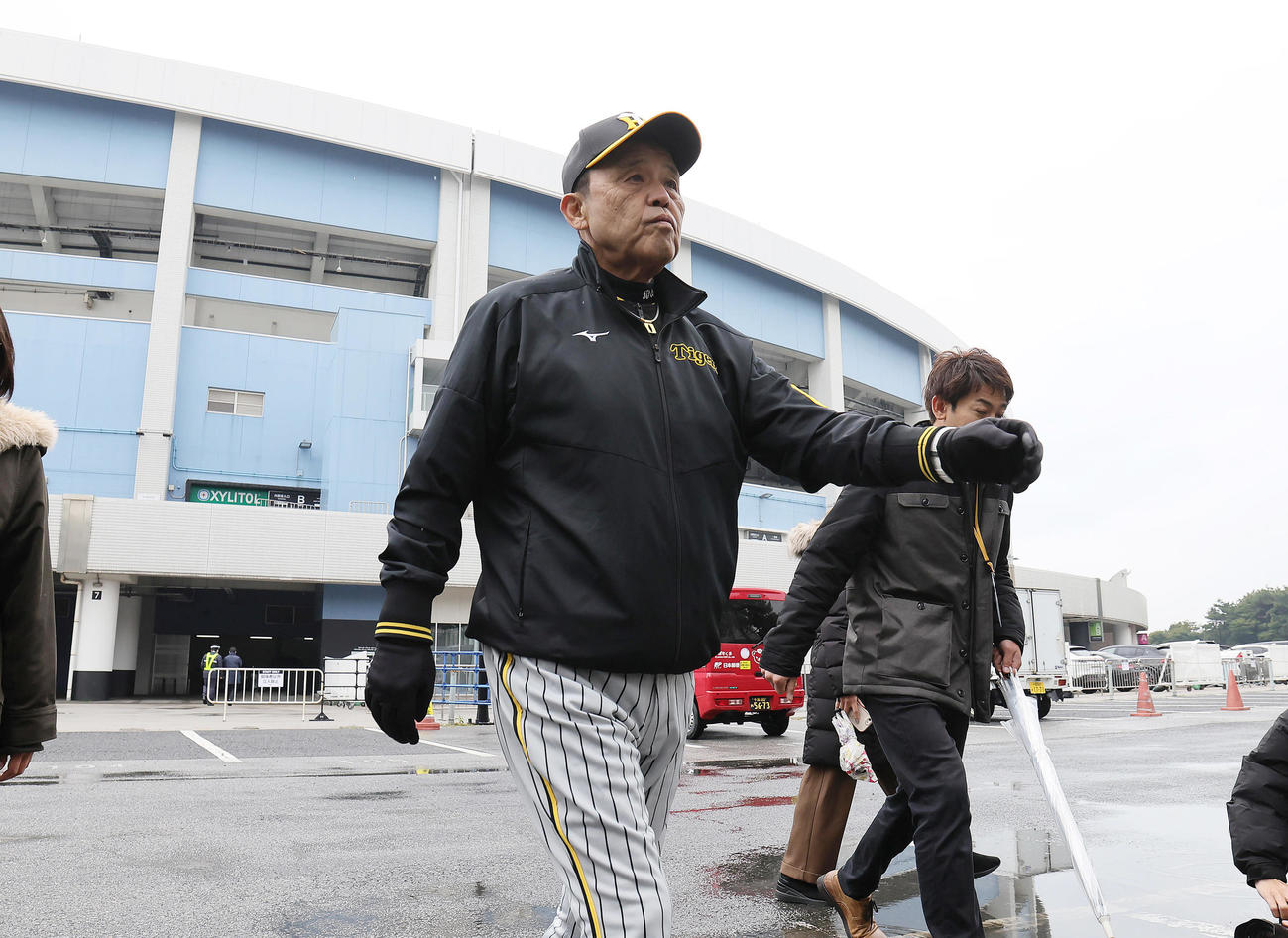 球場を背に室内練習場へと移動する阪神岡田監督（撮影・足立雅史）