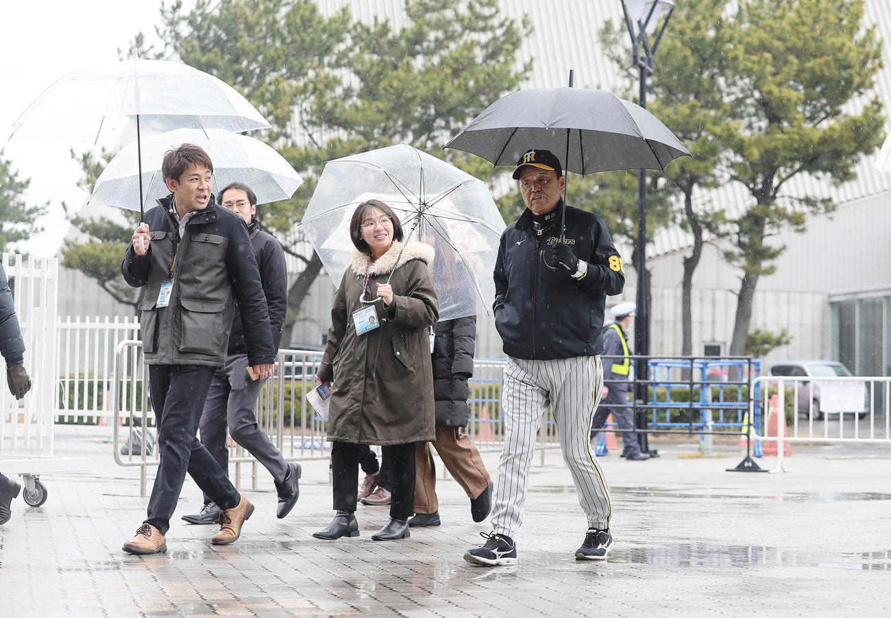 雨の中、報道陣と会話を交わしながら移動する阪神岡田監督（撮影・足立雅史）