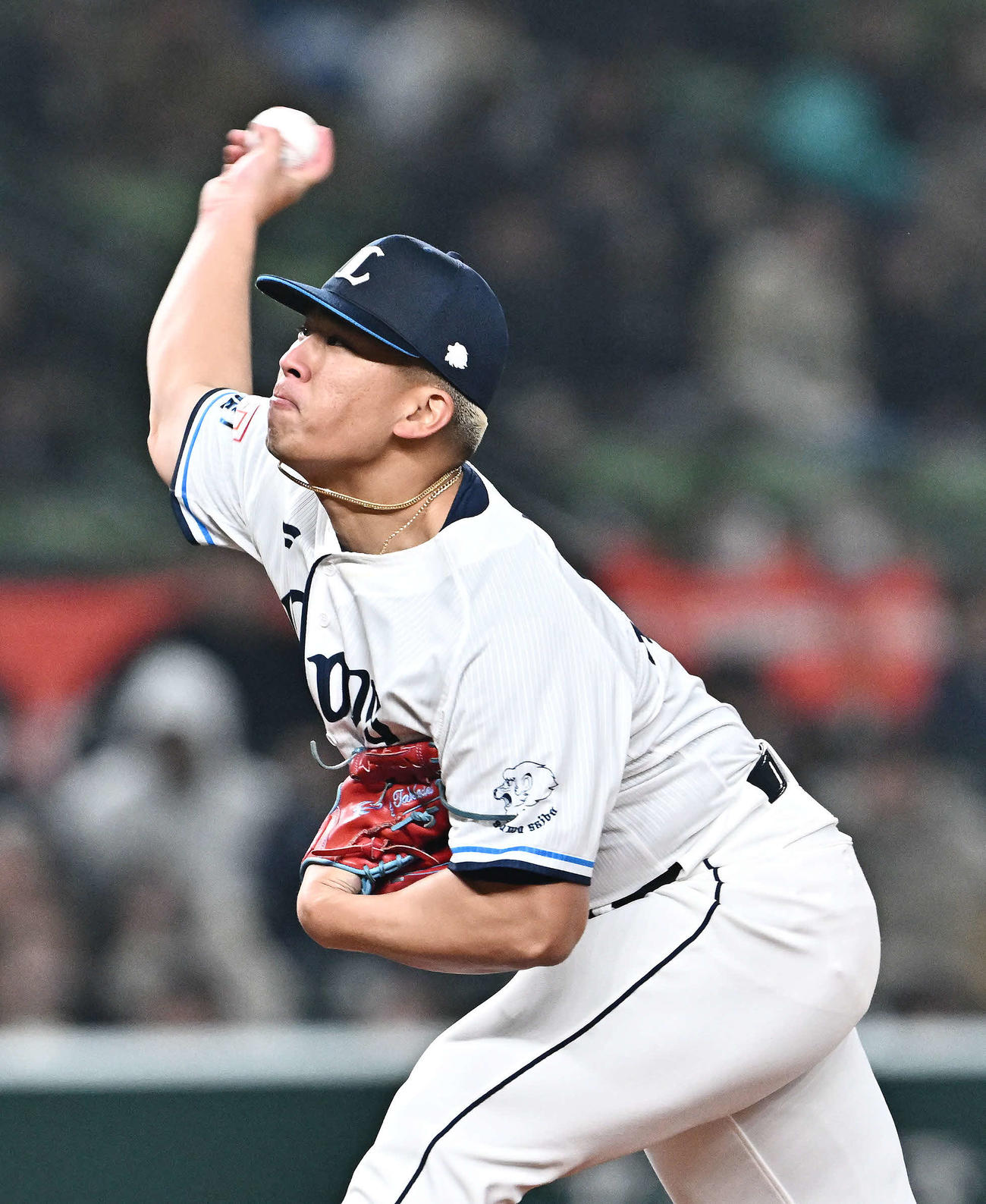 西武対中日　6回から西武2番手で登板し試合を締めたボー（撮影・滝沢徹郎）