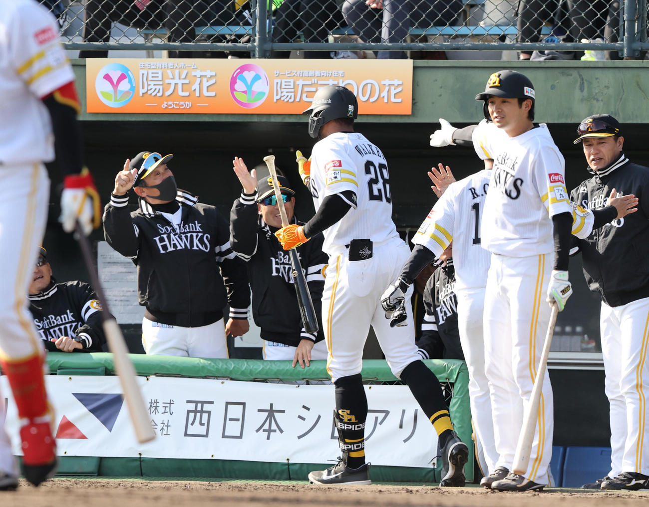 ソフトバンク対巨人　6回裏ソフトバンク2死二塁、ウォーカーは左越えに逆転2点本塁打を放ちベンチのナインとハイタッチ（撮影・梅根麻紀）