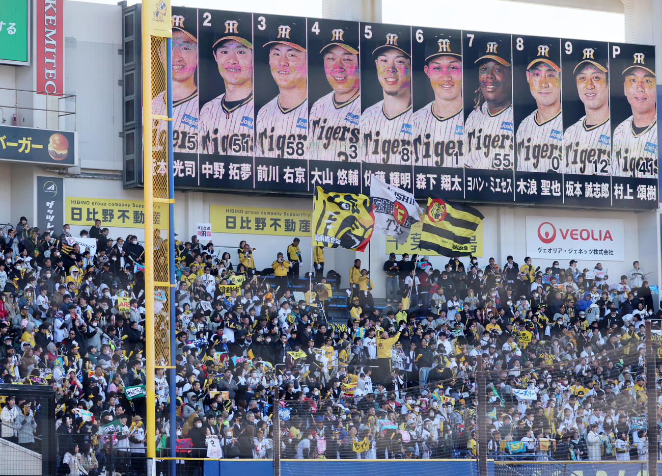 ロッテ対阪神　声援を送る阪神ファン（撮影・加藤哉）