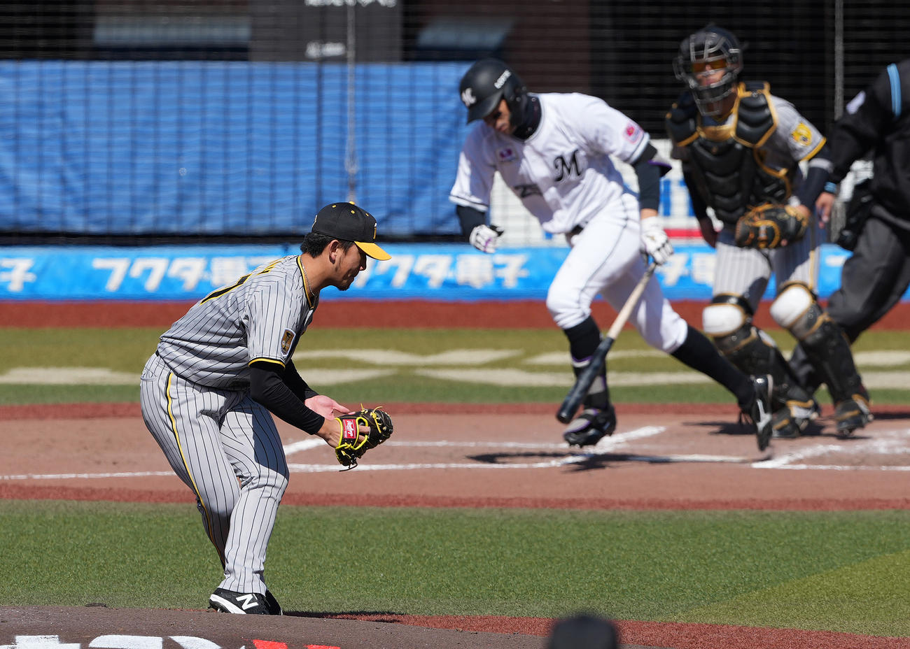 ロッテ対阪神　3回裏ロッテ2死、岡を投ゴロに仕留める伊藤将（撮影・鈴木みどり）