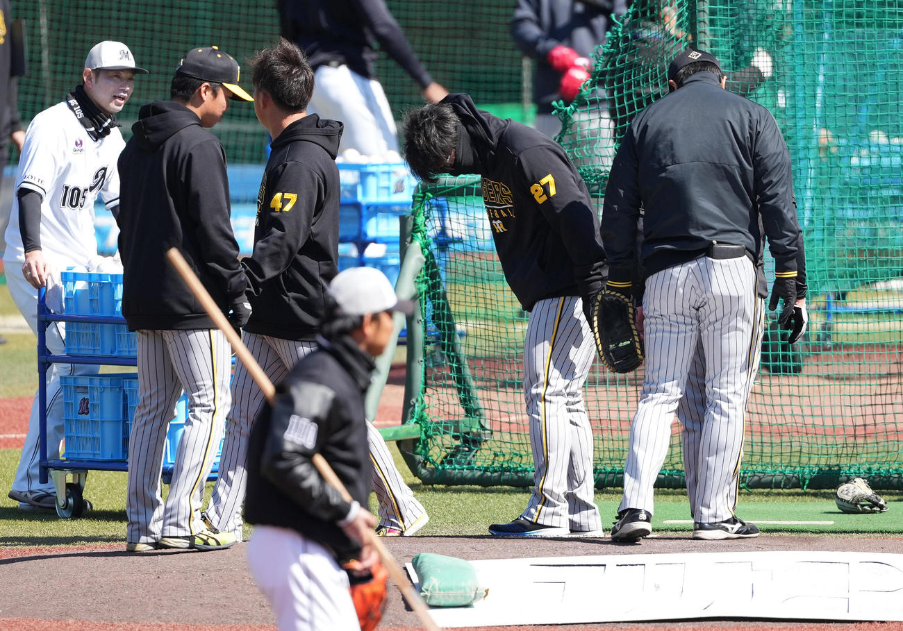 ロッテ対阪神　試合前練習でマウンドの感触を確かめる阪神伊藤将（撮影・鈴木みどり）