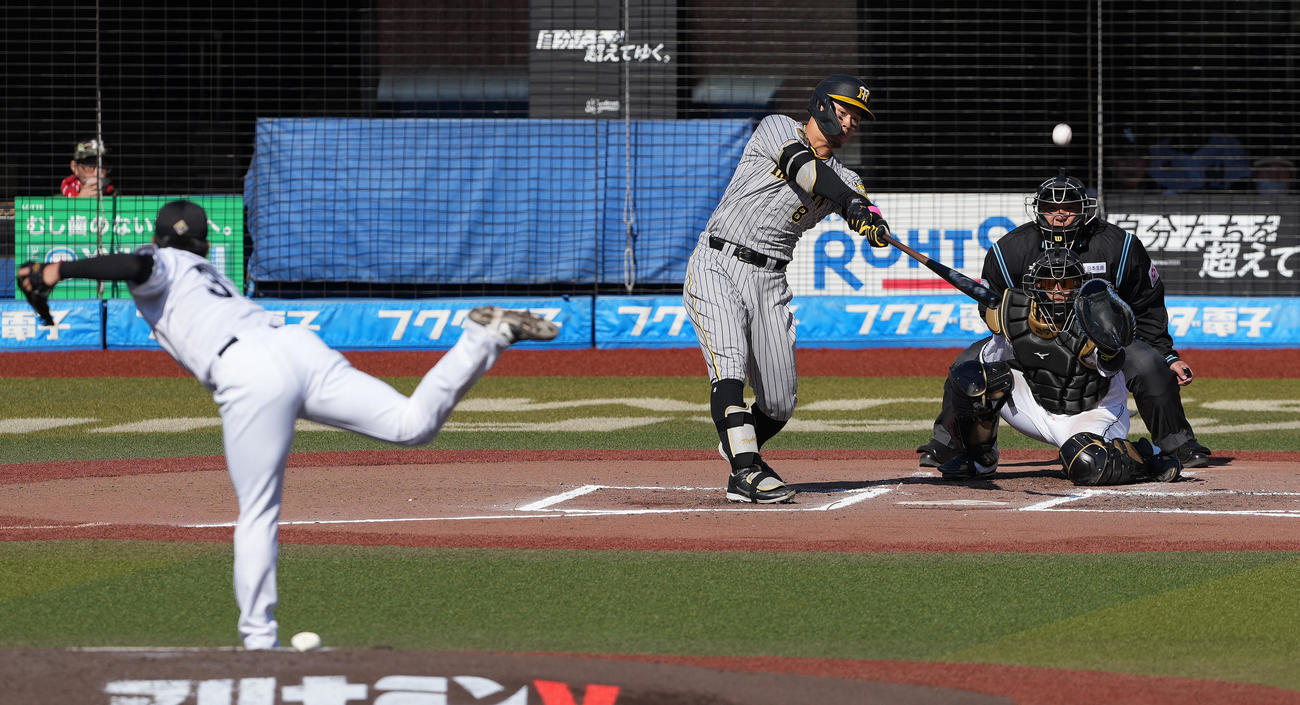 ロッテ対阪神　6回表阪神2死、左飛に倒れる佐藤輝。投手田中晴（撮影・鈴木みどり）