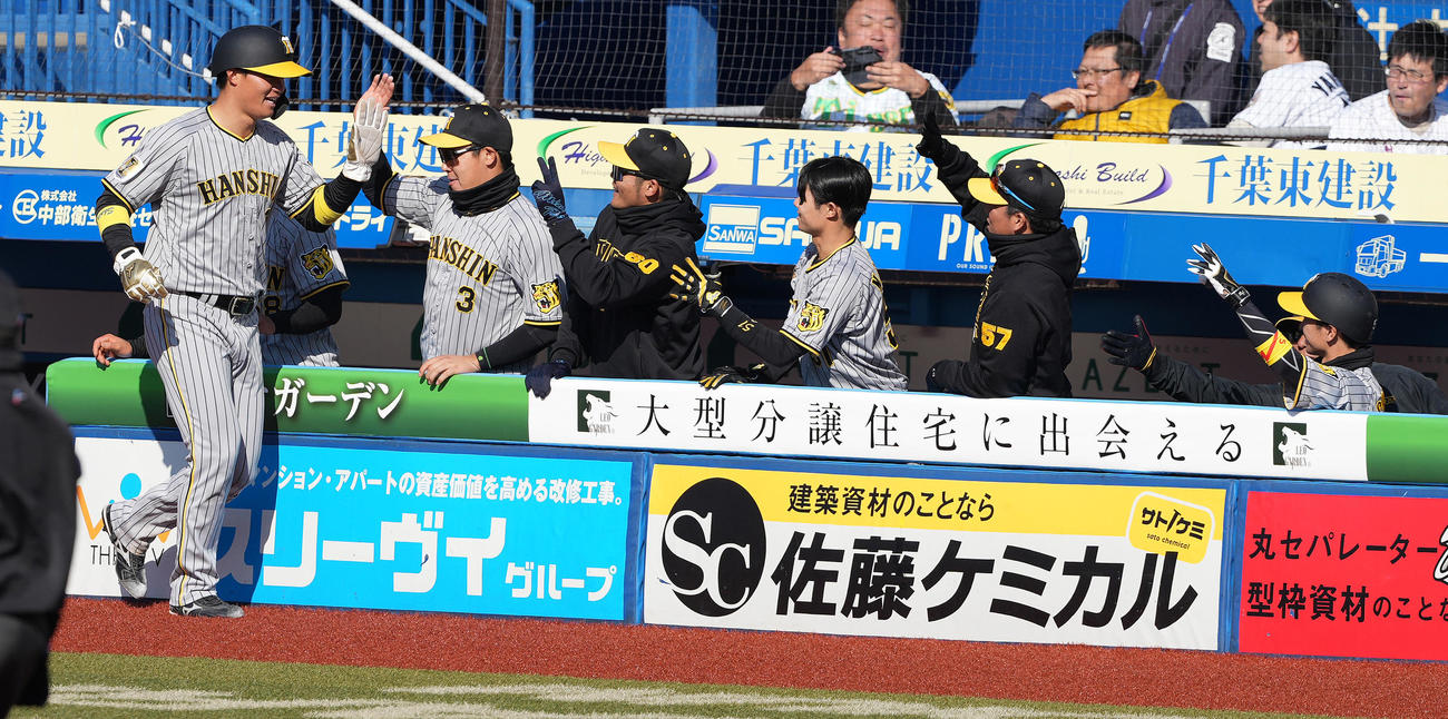 ロッテ対阪神　7回表阪神無死二塁、ミエセスの左適時打で生還した二塁走者森下（左）はナインと笑顔でハイタッチ（撮影・鈴木みどり）