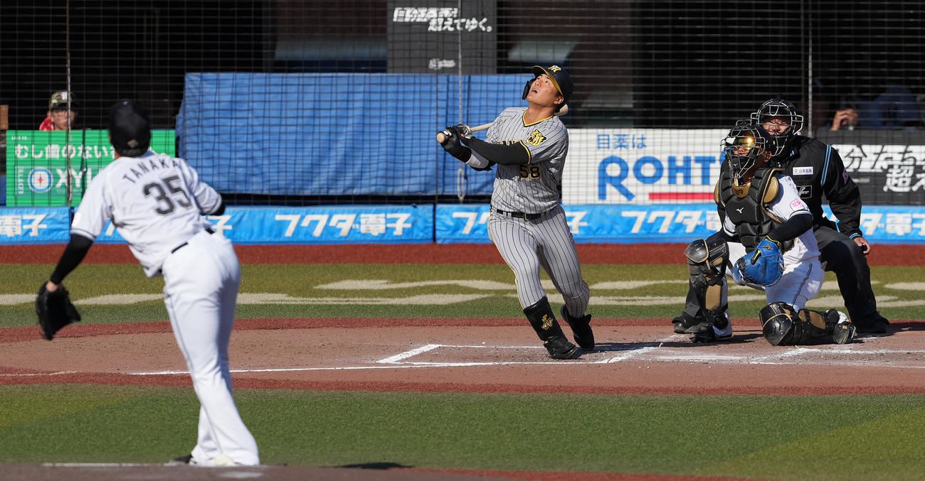 ロッテ対阪神　7回表阪神2死一、二塁、一飛に倒れる前川。投手田中晴（撮影・鈴木みどり）