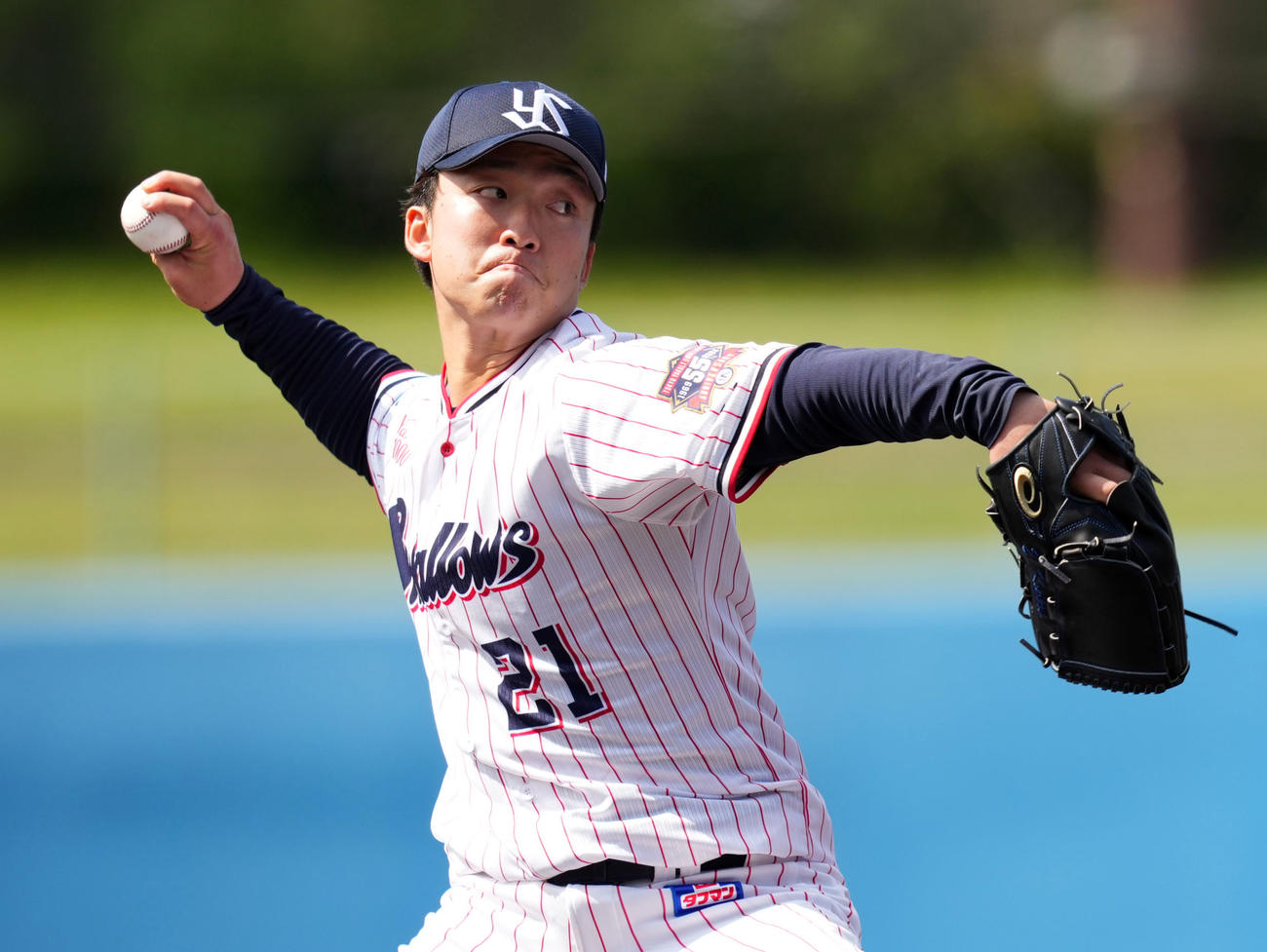 ヤクルト吉村貢司郎（2024年2月撮影）