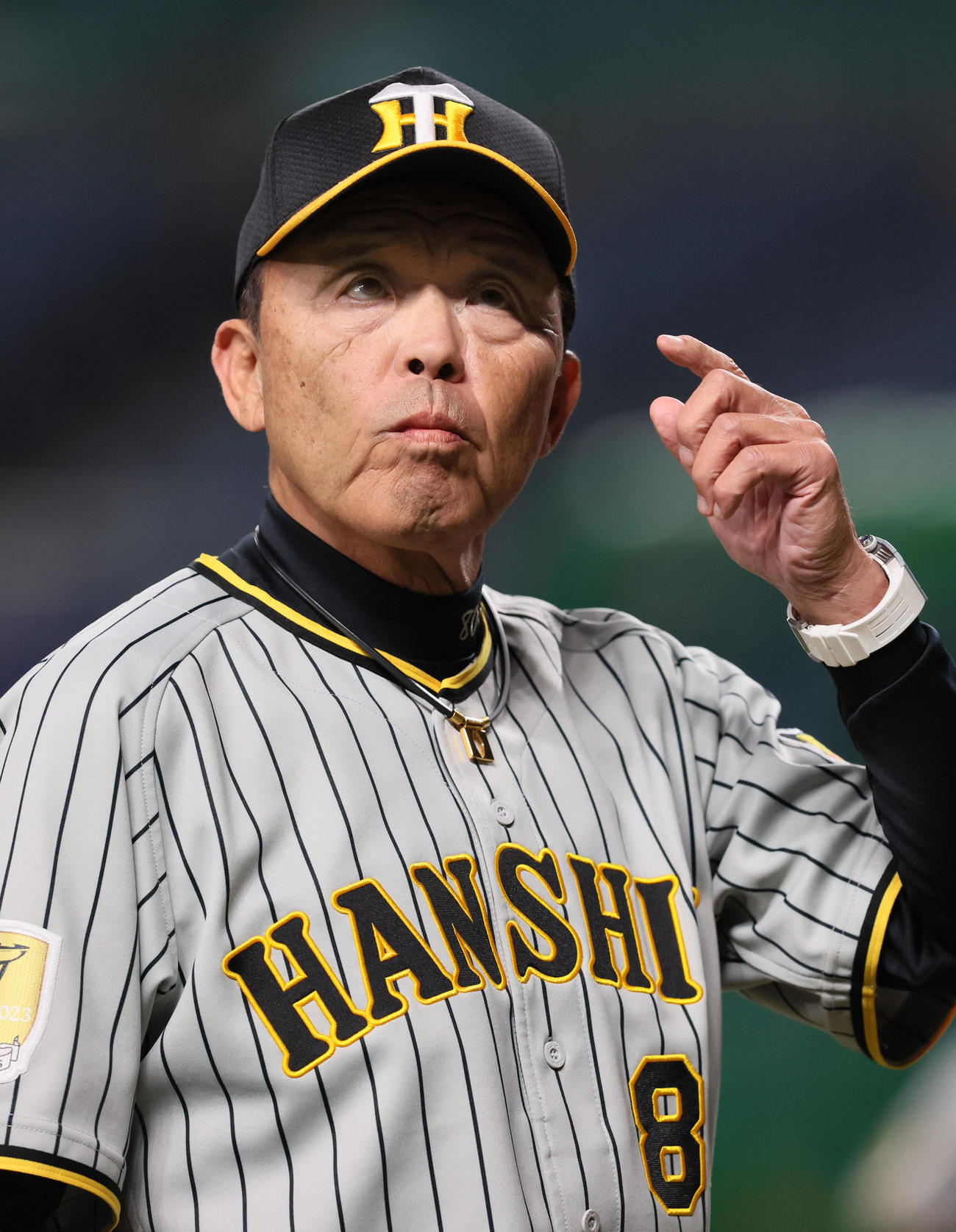 ナインと練習を見る岡田監督（撮影・加藤哉）
